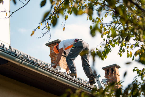 Best Commercial Roofing Services  in Lanse, MI