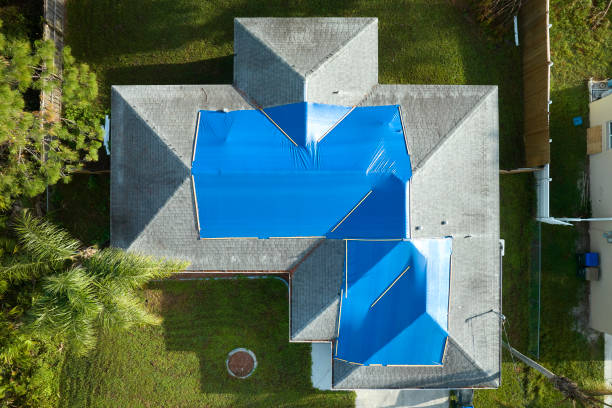 Best Roof Moss and Algae Removal  in Lanse, MI