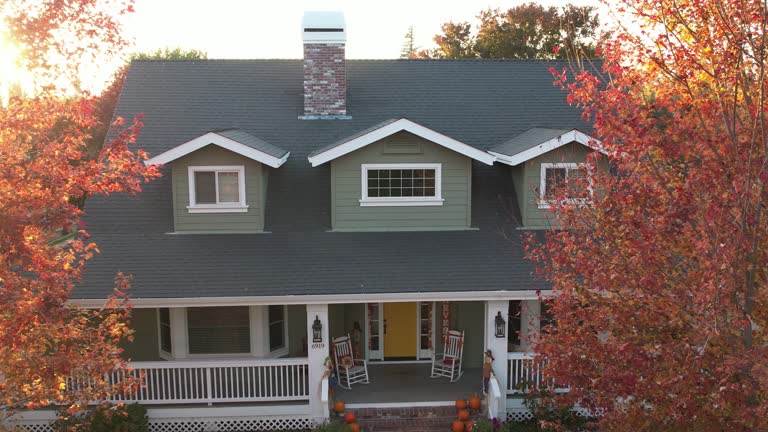 Best Green or Eco-Friendly Roofing Solutions  in Lanse, MI