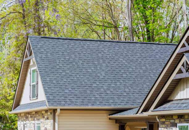Best Chimney Flashing Repair  in Lanse, MI