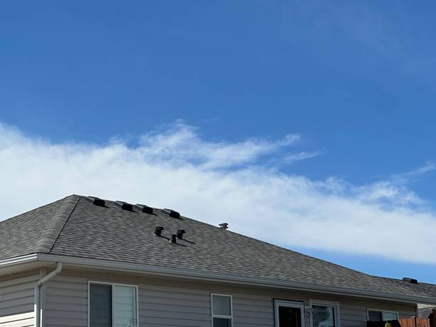 Best EPDM Roofing  in Lanse, MI
